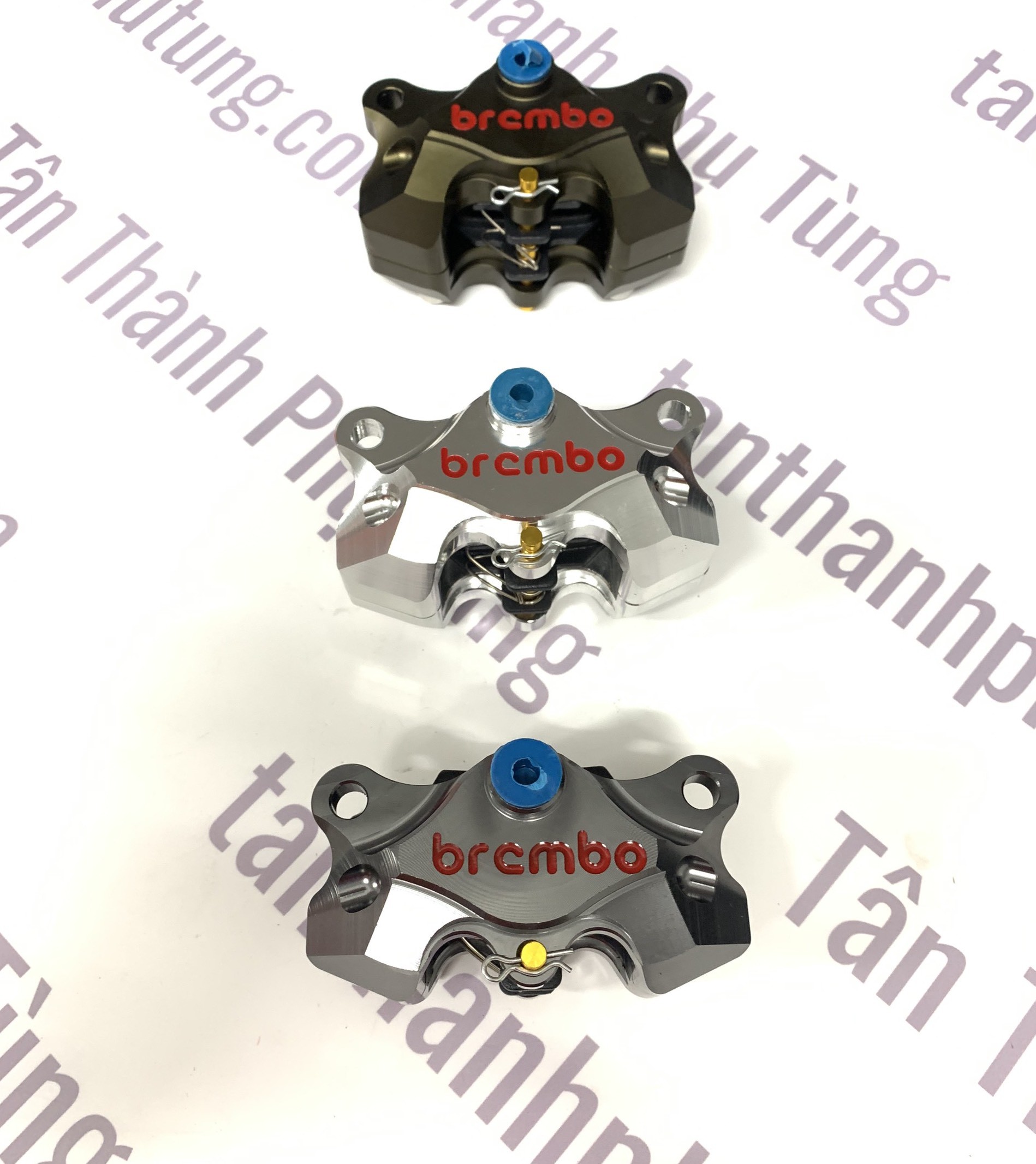 Heo dầu Brembo 2PIT