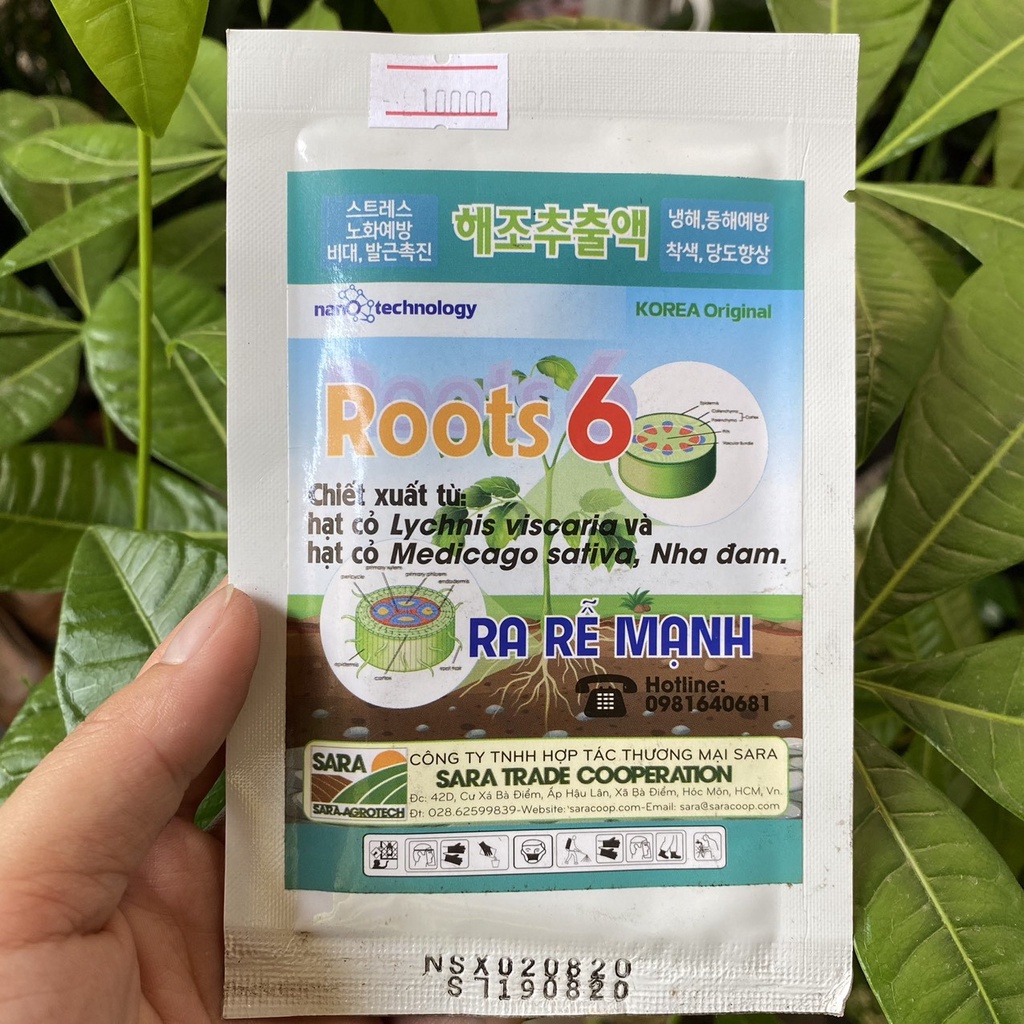 [Ưu đãi] Kích rễ Root 6 (17gr/gói) - kích rễ lành tính thành phần tự nhiên
