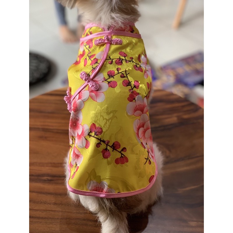 Sườn xám Trung hoa cho chó mèo