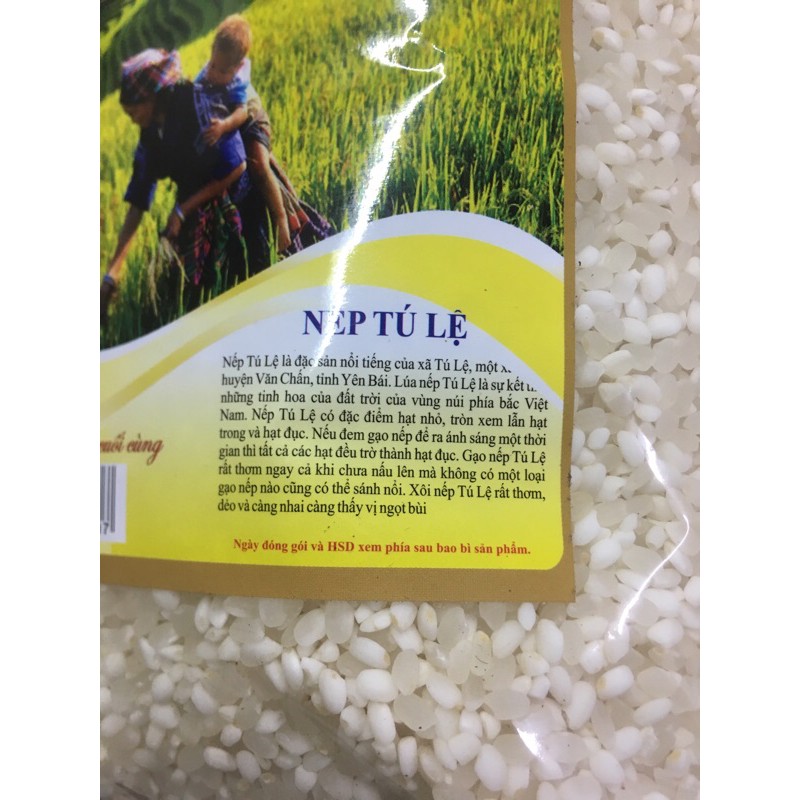 Gạo nếp Tú Lệ 1kg, đặc sản vùng cao Yên Bái