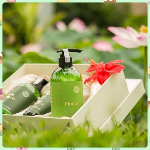 [TÓC MÂY BỒNG BỀNH] Dầu Xả Tóc Cao Cấp Vi Jully - Phục Hồi Tóc Hử Tổn, Chẻ Ngọn | BigBuy360 - bigbuy360.vn