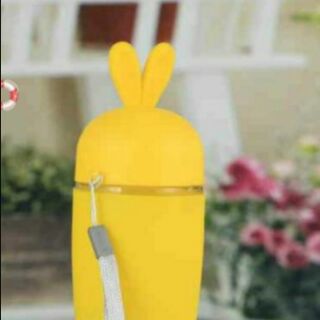 Bình cà rốt thỏ