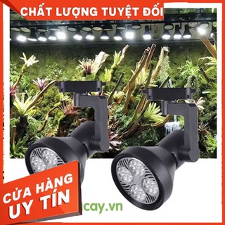 Đèn Led Ray RGB 35W/45W dùng cho cây trong nhà, bán cạn, thuỷ sinh