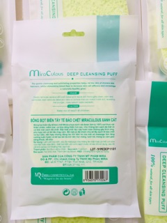 Bông Bọt Biển Xanh Cát