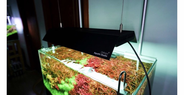 [Mã PET50K giảm Giảm 10% - Tối đa 50K đơn từ 250K] DÂY CÁP TREO MÁNG ĐÈN LED CHIHIROS WRGB2