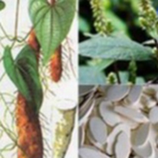 Bột Củ Mài Hoài Sơn 500gr