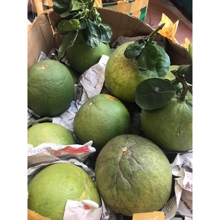 Bưởi Da Xanh 60k/kg