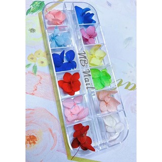 Hoa khô ẩn gel khay dài