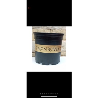 Chậu nhựa trồng hoa monrovia đủ size