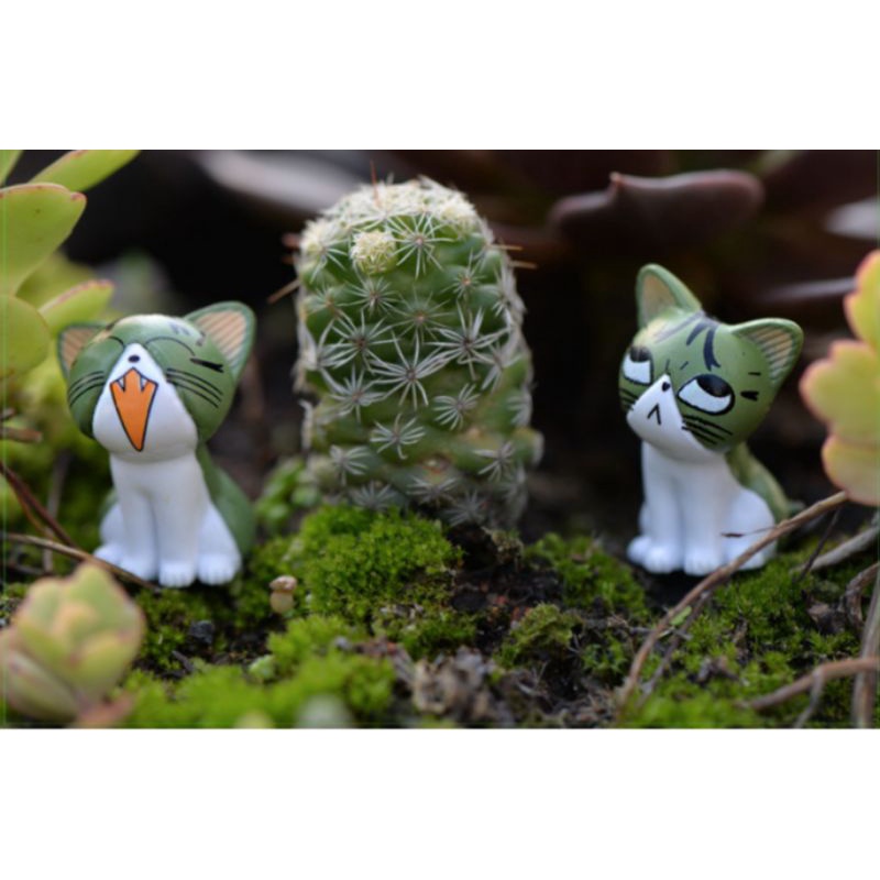 Tiểu cảnh trang trí terrarium mô hình mèo mini 8 sắc thái
