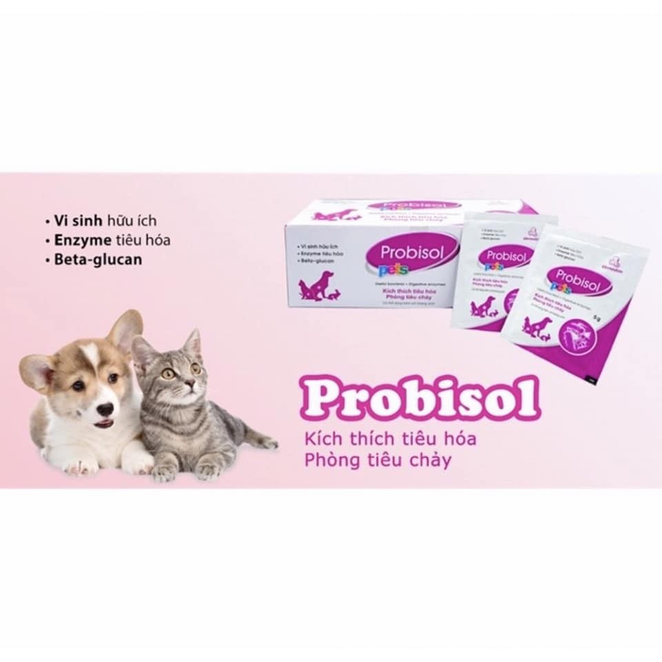 10 Gói Men Tiêu Hóa Chó Mèo 5G