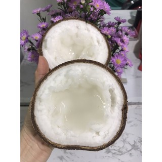 Combo 2 dừa sáp Trà Vinh đặc ruột