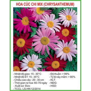 Hạt Giống Cúc chi Mix 50 Hạt/ Gói