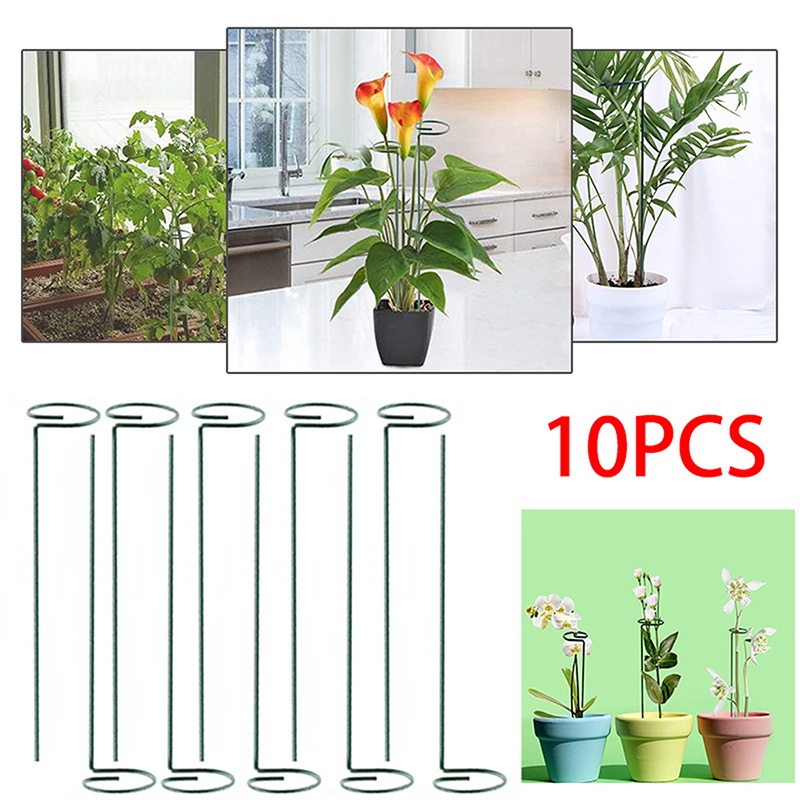 Hot sale! Thanh Đỡ Hỗ Trợ Trồng Cây Cà Chua amaryllis