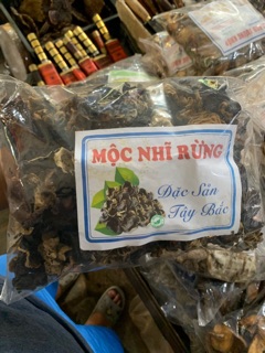 Mộc nhĩ rừng