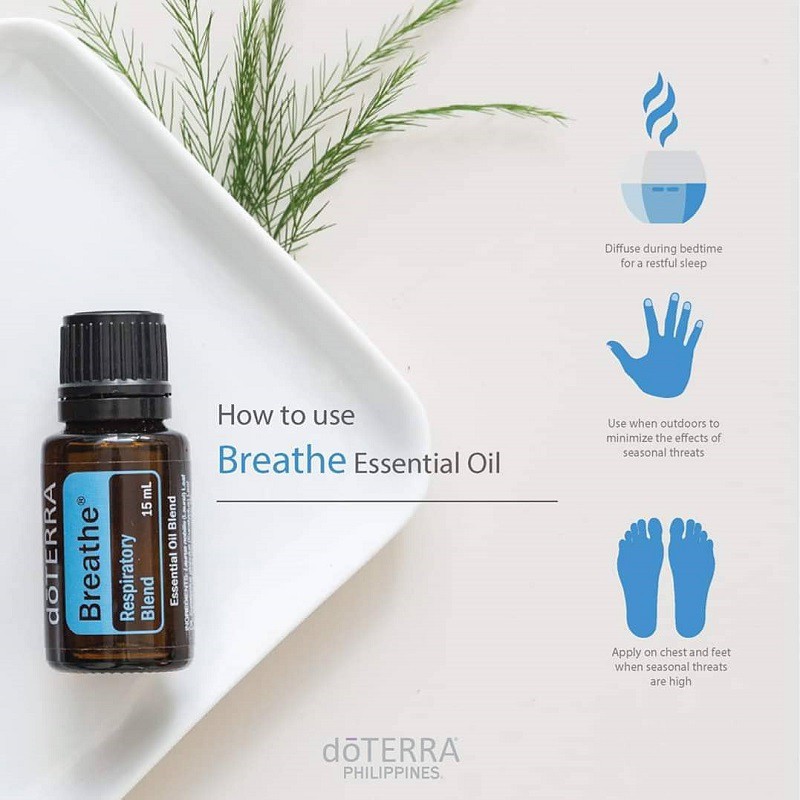 Tinh dầu Hô Hấp Breathe Tinh Dầu Nguyên Chất doTERRA  - doTERRA Essential Oil - Breathe Oil 15ml