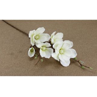 Mộc lan cao su 5 bông cành dài 100cm