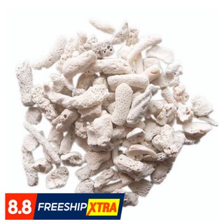 San Hô Vụn 100Gr lọc nước cho hồ cá cảnh