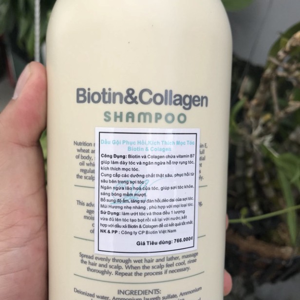 [G03] 🇮🇹Biotin&Collagen🇮🇹Dầu gội phục hồi, kích thích mọc tóc YuiluiM Biotin & Collagen Shampoo 1000ml S001