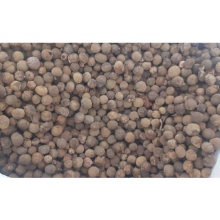 500 gram hạt giống tếch (hạt giá tỵ)