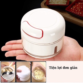 MÁY XAY TỎI ỚT MINI CHOPPER