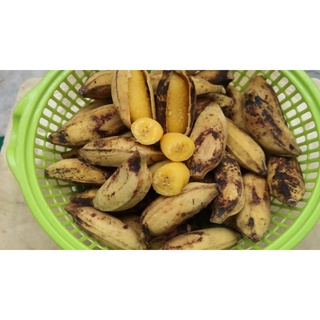 Chuối sáp ngon 3kg