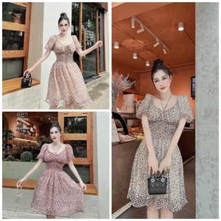 Đầm voan báo cổ yếm