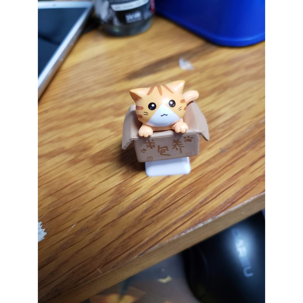 Phím Máy Tính Keycap Mèo Lẻ Trong Hộp Siêu Cute | BigBuy360 - bigbuy360.vn