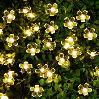 Dây Đèn Led Hoa Mai Hoa Đào 8M-50 Bóng Trang Trí Lễ, Tết ,Party