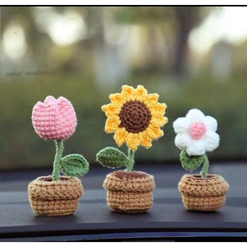Cây hoa mini siêu xinh