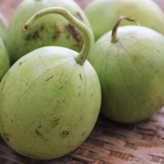 Gói 2g hạt giống dưa nụ - dưa hồng dưa canh