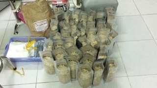 Hạt bí rang muối TJV