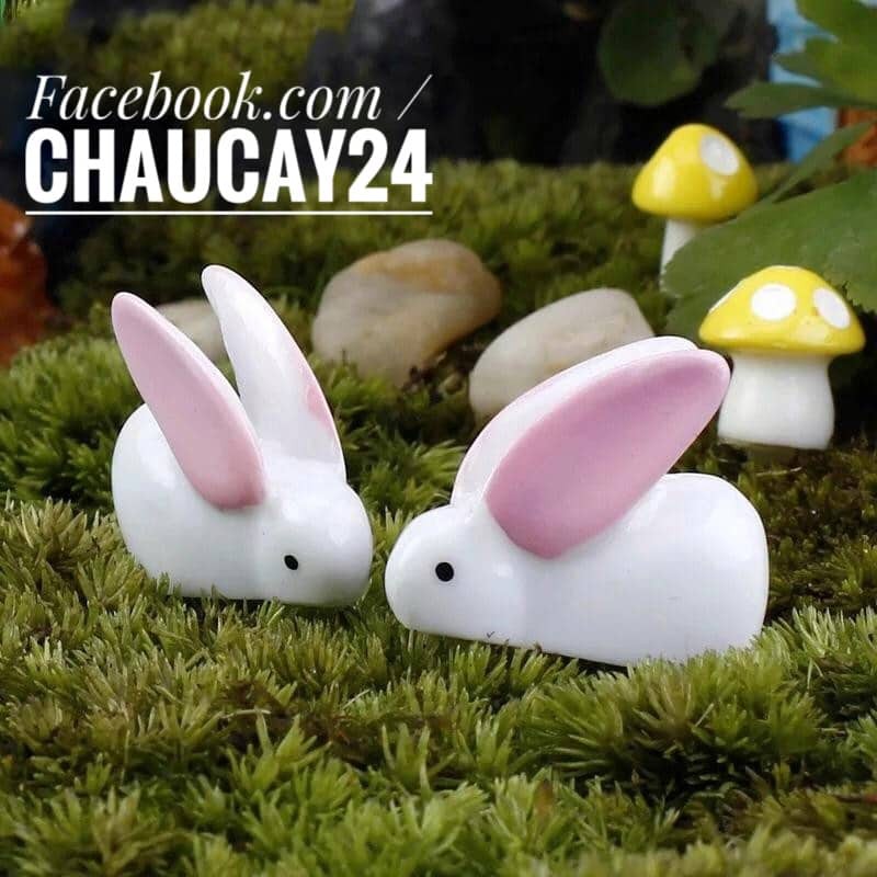 Tiểu cảnh - Chú thỏ trắng phụ kiện trang trí sen đá, xương rồng, terrarium, charm slime