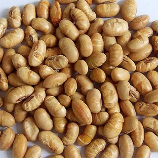 1kg Đậu nành đỗ tương sấy hàng loại 1 hút chân không