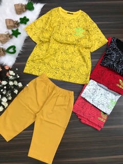 Đồ bộ lững ngố