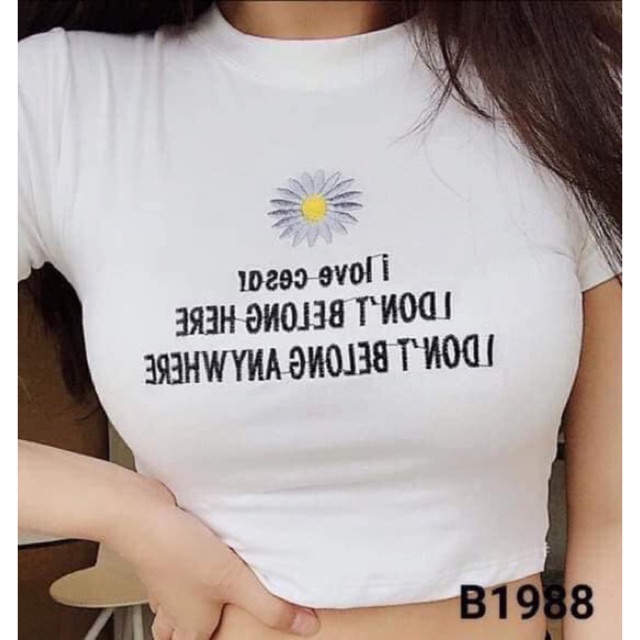 Áo croptop hoa cúc HSU1