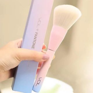 Set cọ VDL Pantone Limited Edition