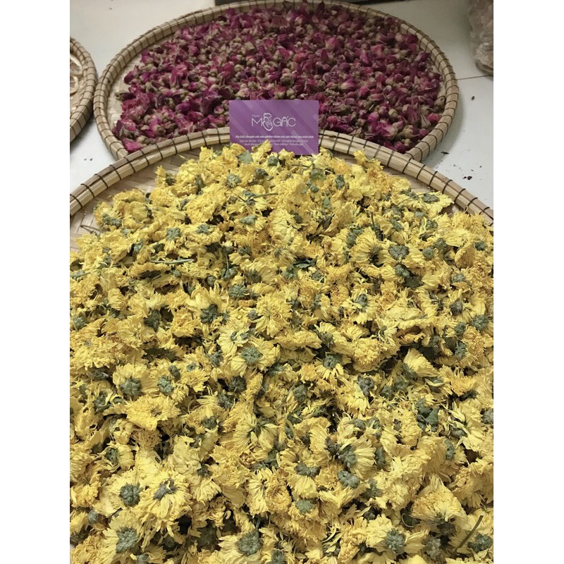 THẢO MỘC XÔNG MẶT