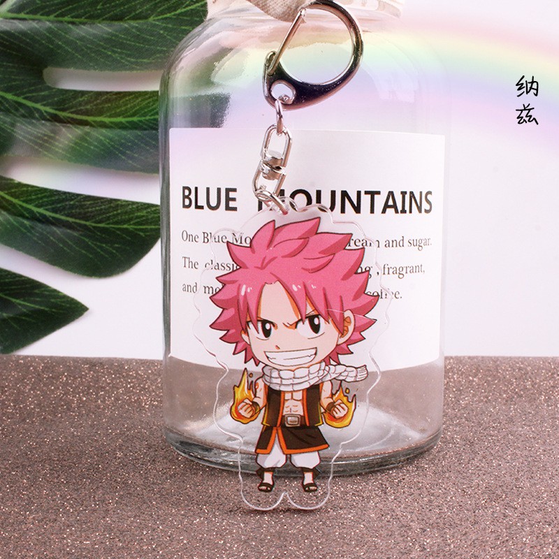 Móc Chìa Khóa Treo Tường Bằng Acrylic Họa Tiết Anime Fairy Tail Naz