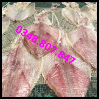 Combo  khach MỰC  L4