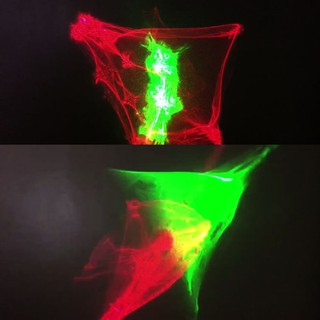 2021 - ĐÈN LASER SÂN KHẤU 3D RG MINI