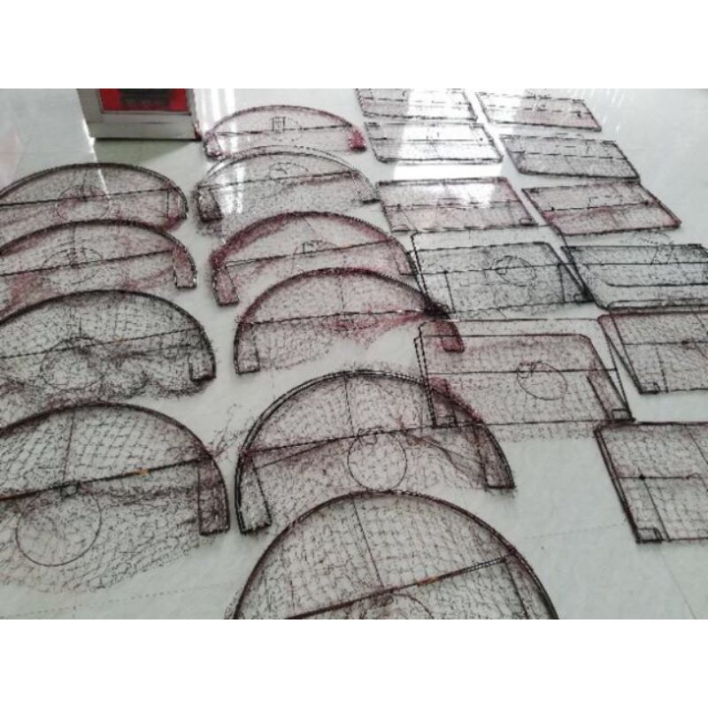 Mẹt chim săn mồi.