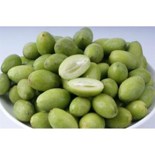Cây giống cây trám xanh cao sản, cam kết giống chuẩn f1 + tặng 01 cây dâu da đất