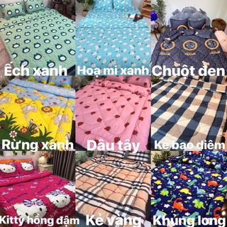 Set Chăn ga gối  cotton POLY