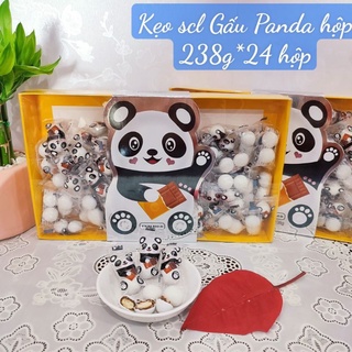 Kẹo socola gấu trúc