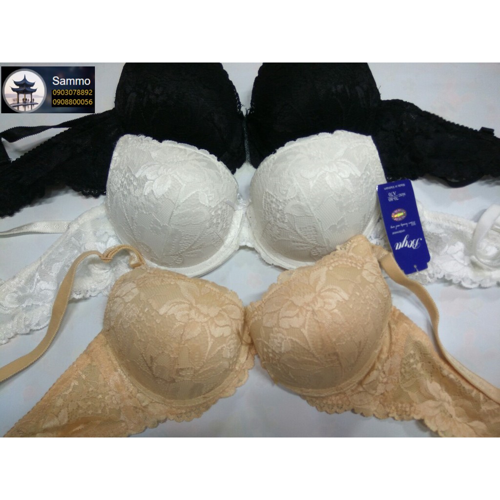 Áo Ngực Ren Mút Dầy Hàng Cty Việt Nam