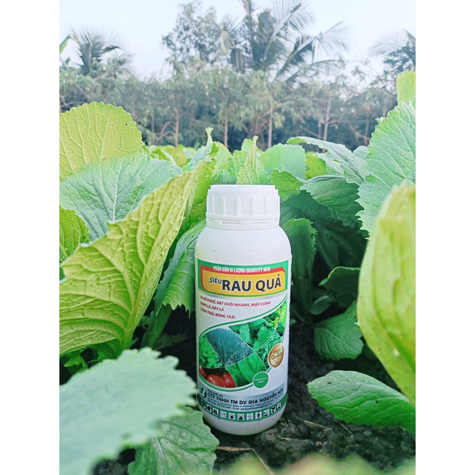 SIÊU RAU QUẢ 500ML giúp mập cộng xanh lá, lá to nở bụi tốt, bóng trái