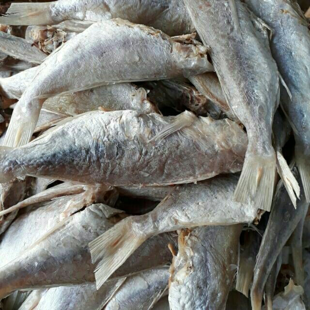 Khô cá đổng - đặc sản phú quốc