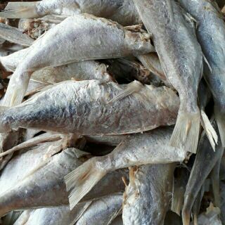 Khô cá đổng - đặc sản phú quốc