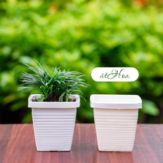 Chậu nhựa vuông dày dặn trồng tiểu cảnh sân vườn
